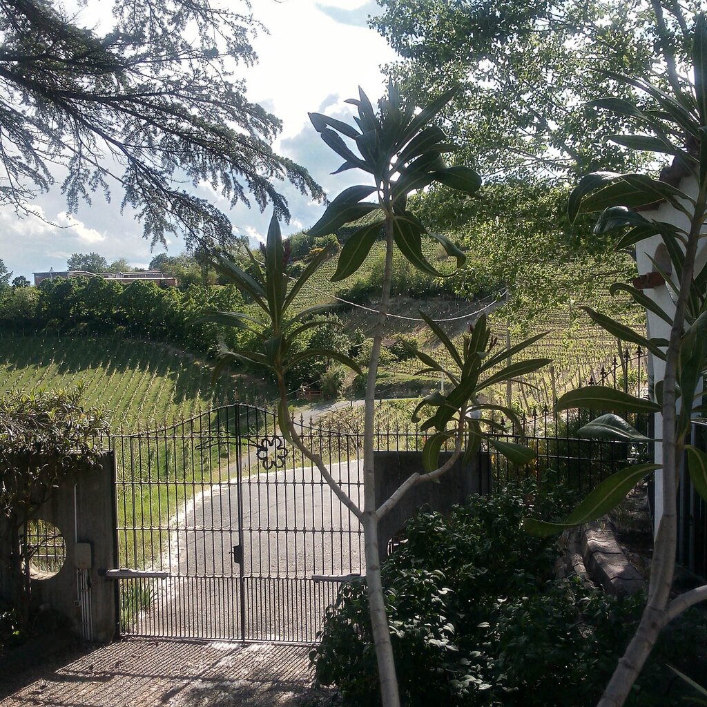 MONTABONE BEB IL GIARDINO DI MAI (2)