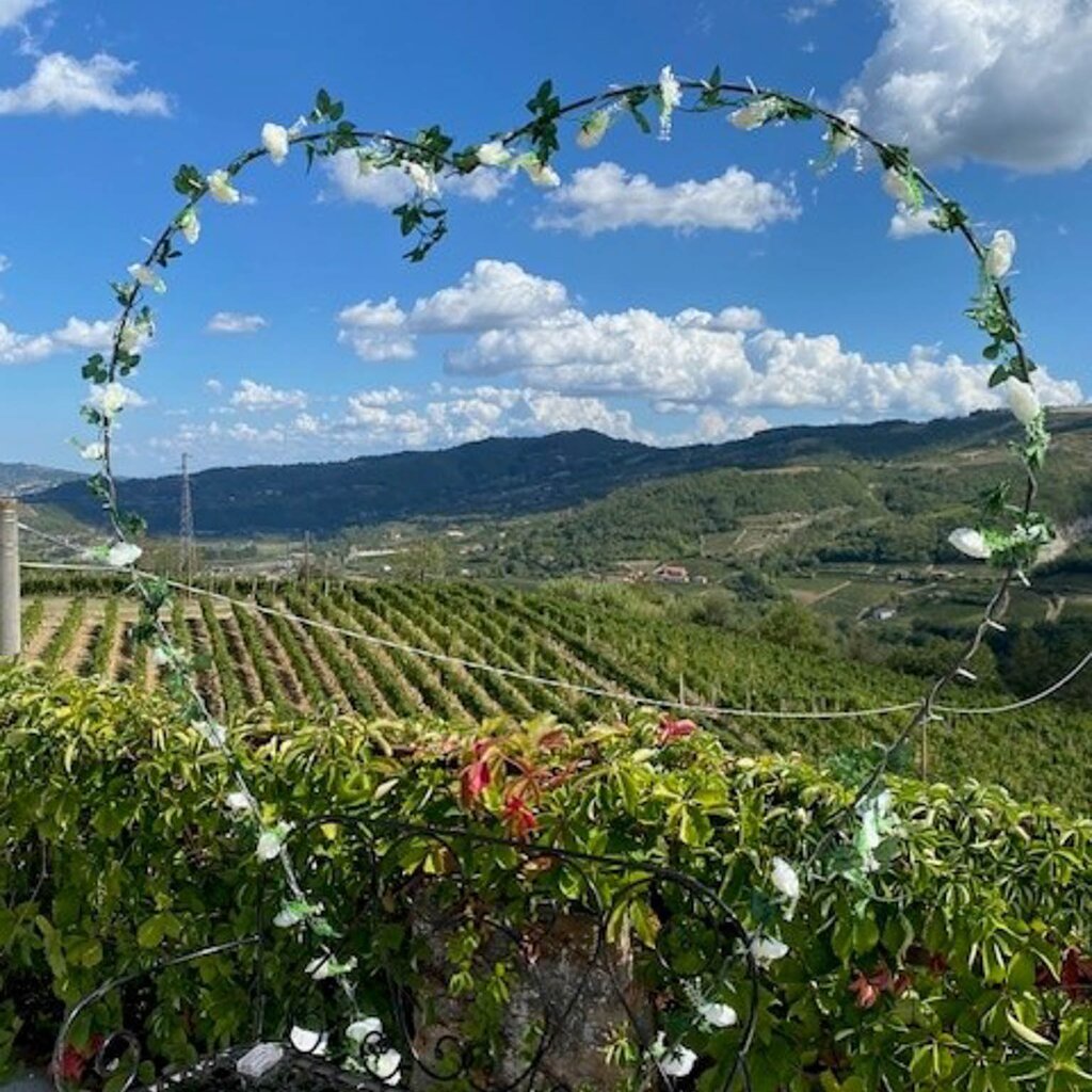 VESIME AGR PIAN DEL DUCA 3