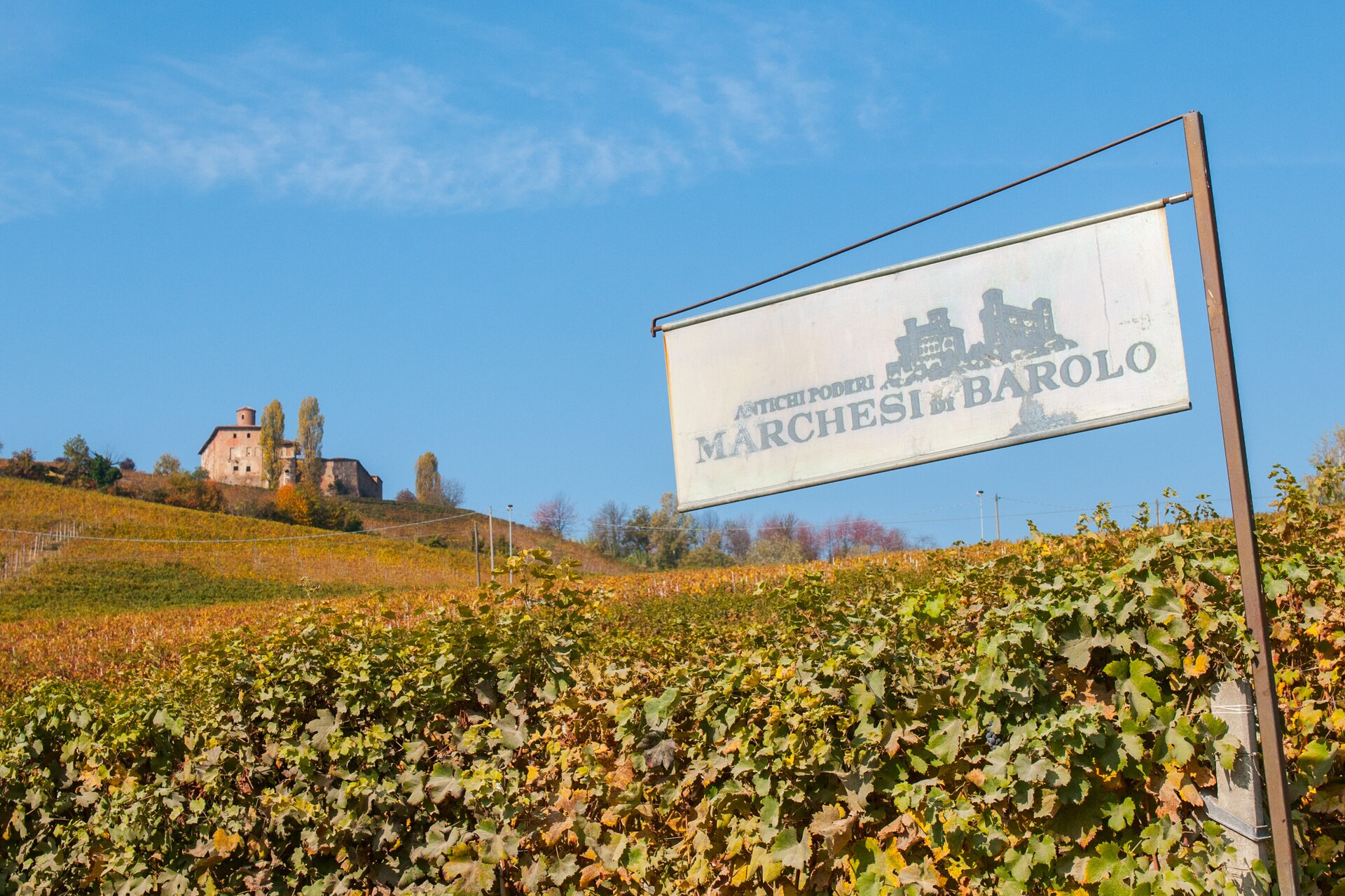 Marchesi di Barolo