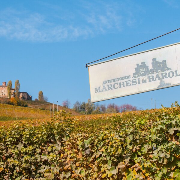 Marchesi di Barolo