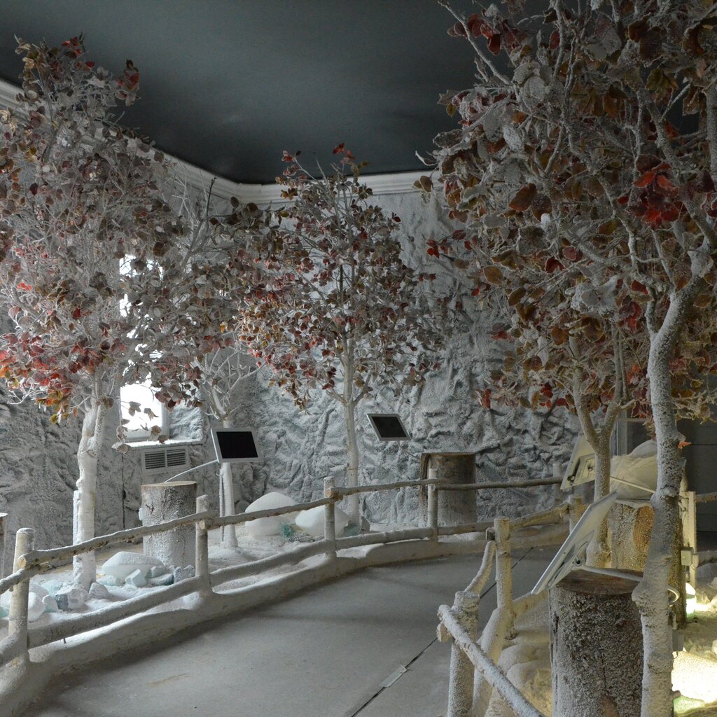 Museo Della Magia Archivio Ente Turismo LMR (1)