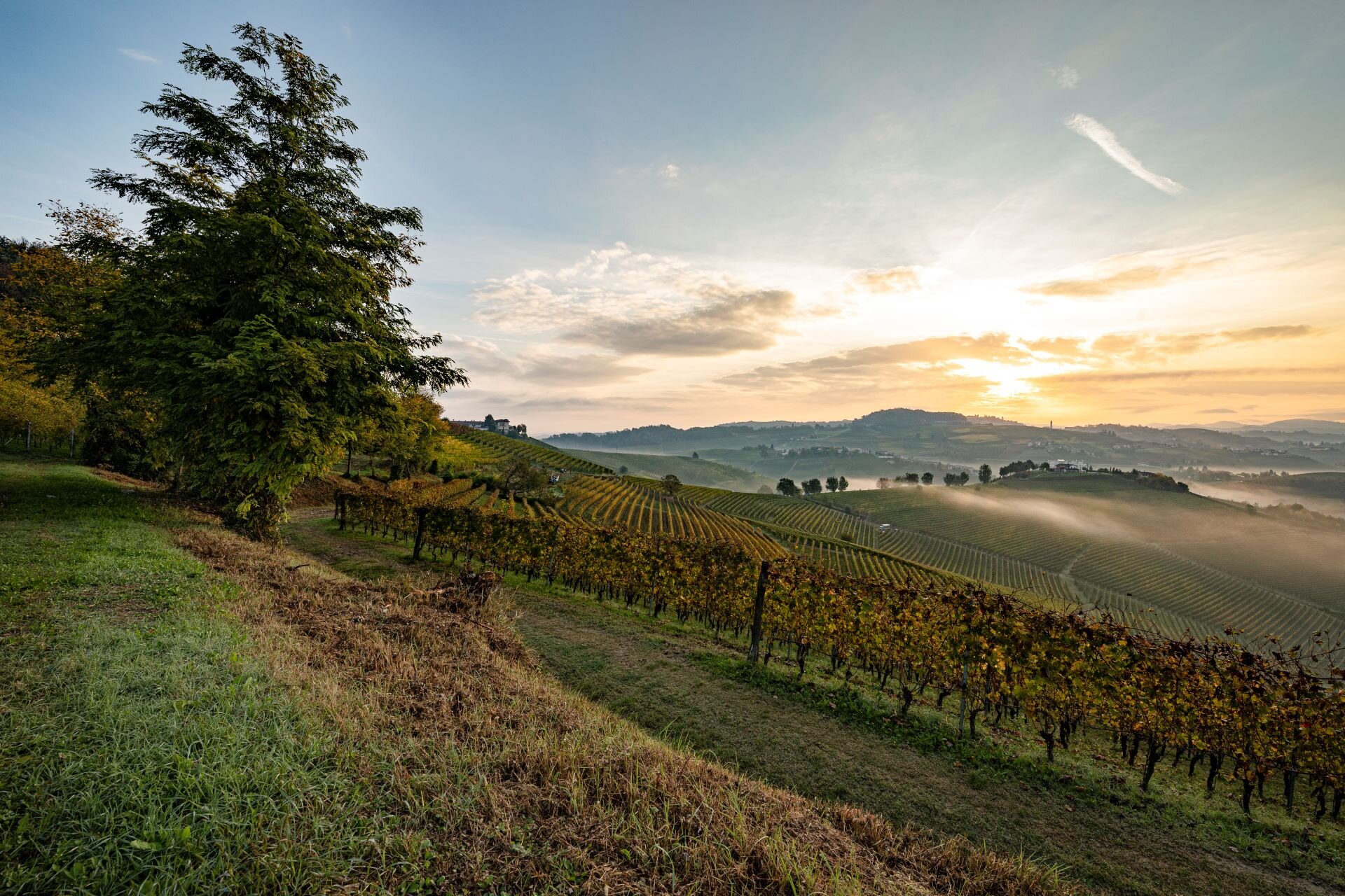 Paesaggio Alessandro Sgarito Archivio Ente Turismo LMR (4) Langhe