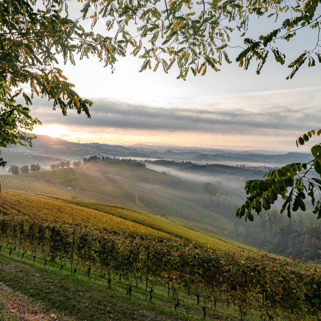 Paesaggio Alessandro Sgarito Archivio Ente Turismo LMR (3) Langhe