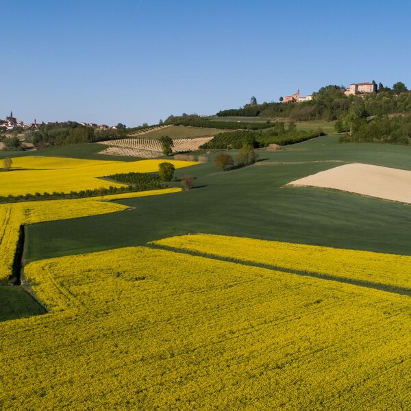 Paesaggi OroMonferrato Credits Nicolas Tarantino Archivio Ente Turismo LMR (32) Monferrato