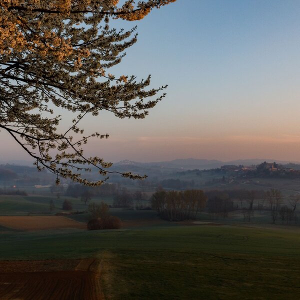 Paesaggi OroMonferrato Credits Nicolas Tarantino Archivio Ente Turismo LMR (30) Monferrato