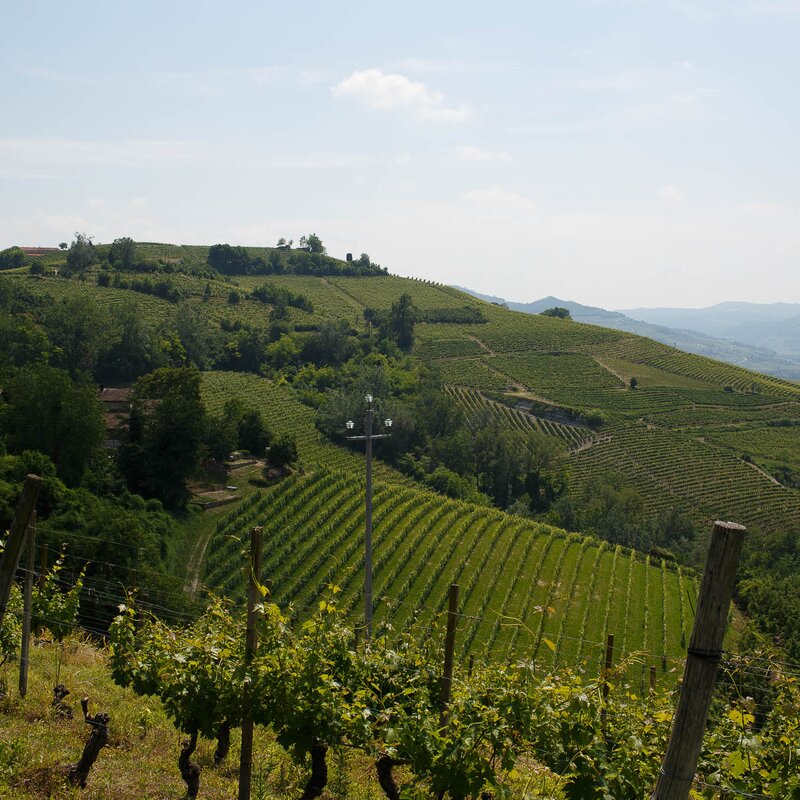 Monferrato - Itinerari paesaggistici in Piemonte