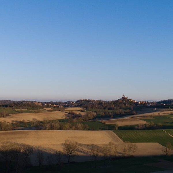 Paesaggi OroMonferrato Credits Nicolas Tarantino Archivio Ente Turismo LMR (7)