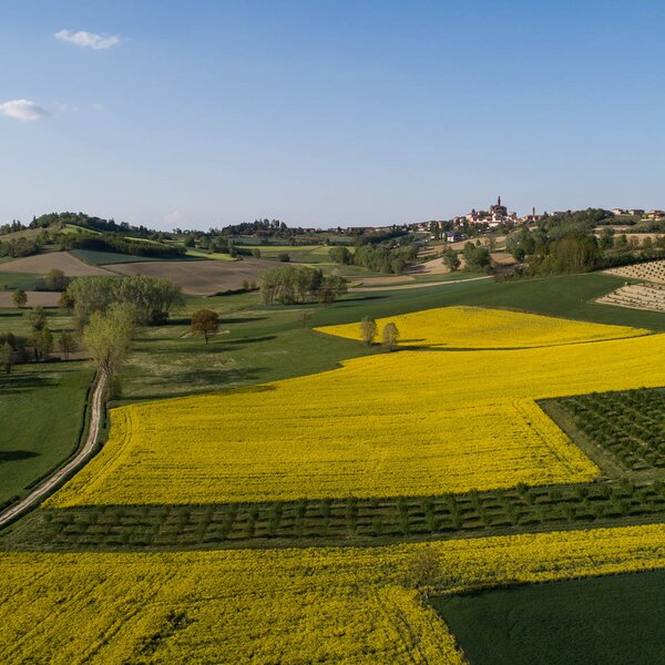 Paesaggi OroMonferrato Credits Nicolas Tarantino Archivio Ente Turismo LMR (14)