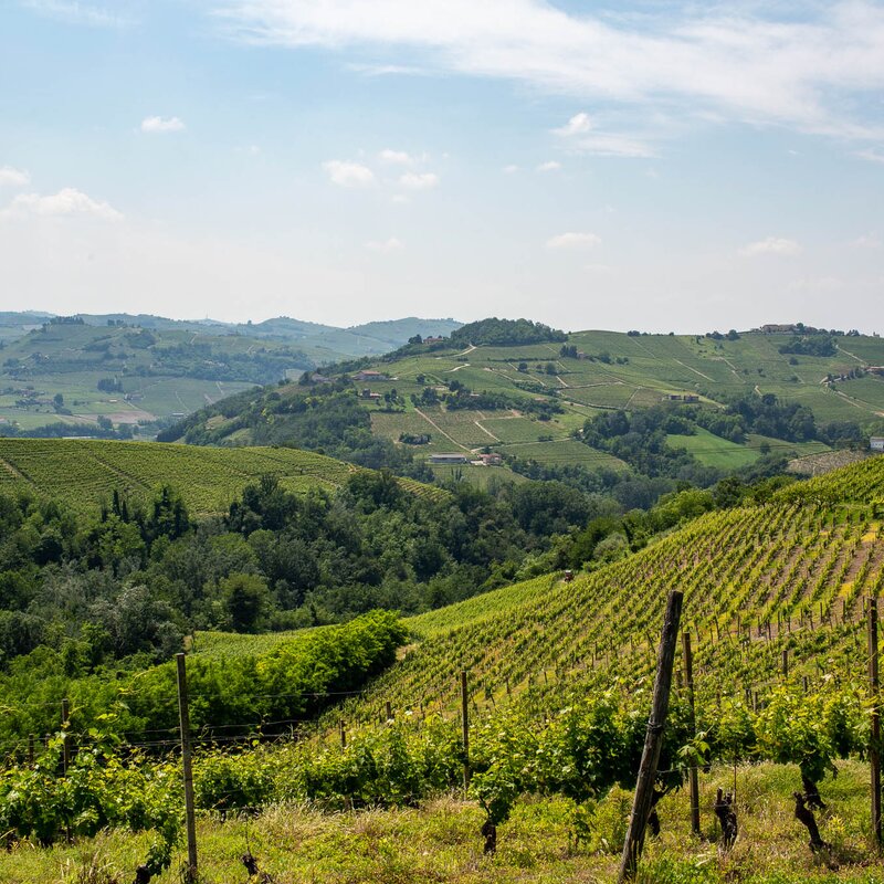 Monferrato - Itinerari paesaggistici in Piemonte