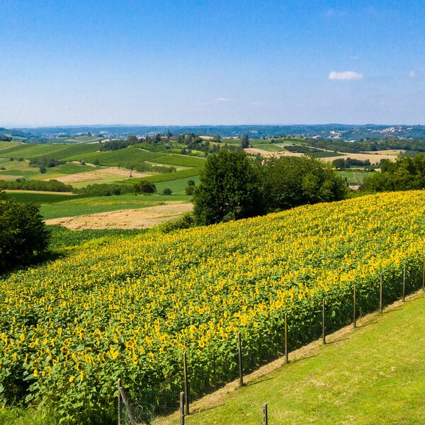 Panorama Monferrato Can't Forget Italy Archivio Ente Turismo LMR (2)