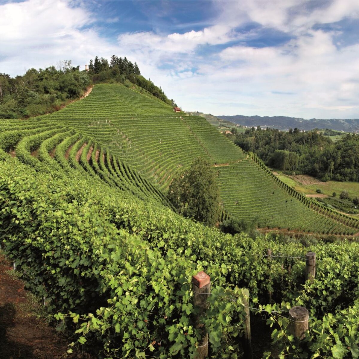 Roero: an area rich in culture and food and wine excellence