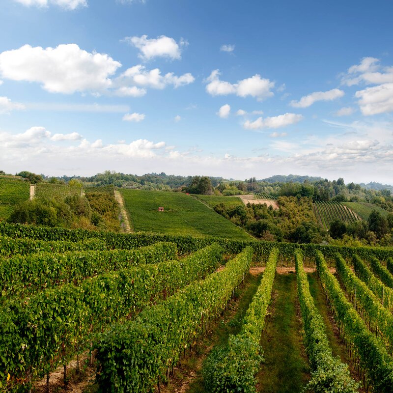Roero - Landscape itineraries in Piedmont