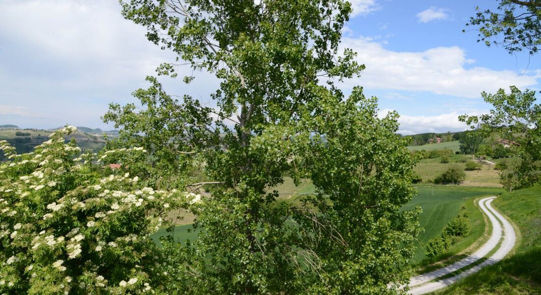 Deserta Langarum – between Igliano and Torresina