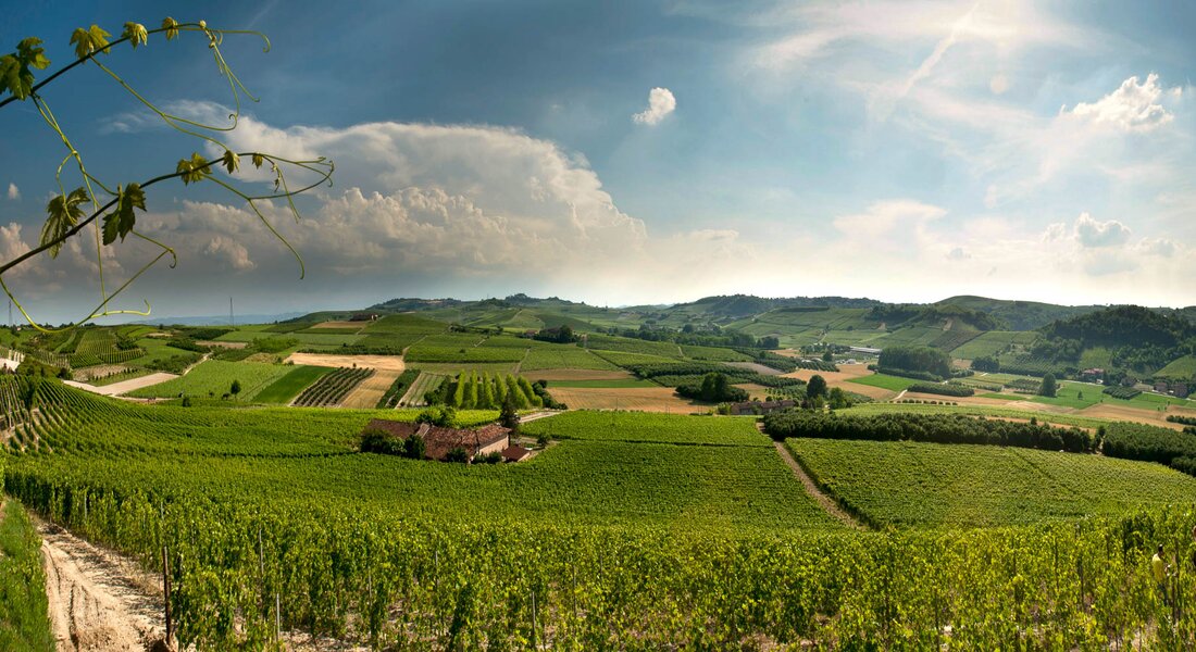 WineTour 1 - I cru dove ebbe origine l’Arneis