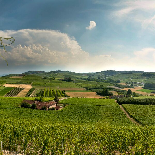 WineTour 1 - I cru dove ebbe origine l’Arneis WineTour 1 - I cru dove ebbe origine l’Arneis