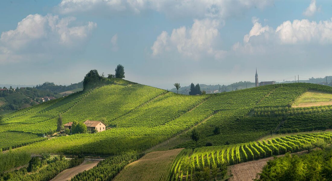 WineTour 2 - I cru argillosi verso il fiume Tanaro