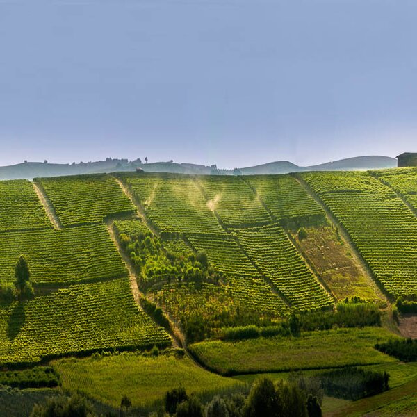 WineTour 3 - I cru aridi al limitare delle Rocche WineTour 3 - I cru aridi al limitare delle Rocche