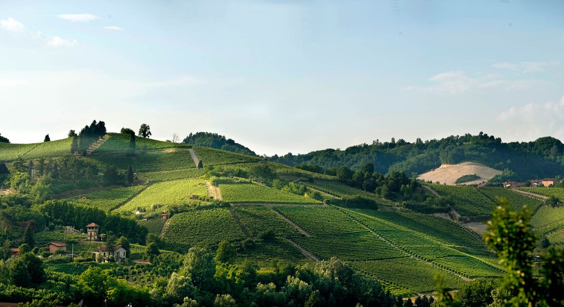 WineTour 4 - I cru panoramici del Roero centrale