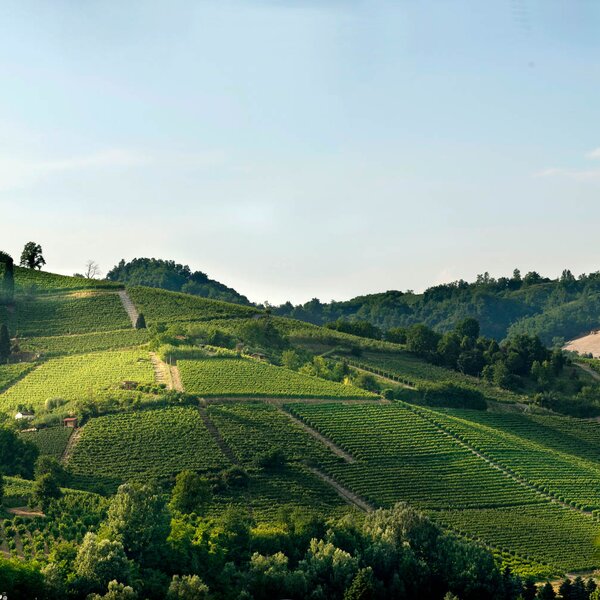 WineTour 4 - I cru panoramici del Roero centrale WineTour 4 - I cru panoramici del Roero centrale