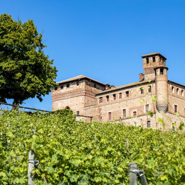 Vineyard Landscape of Piedmont: Langhe-Roero and Monferrato